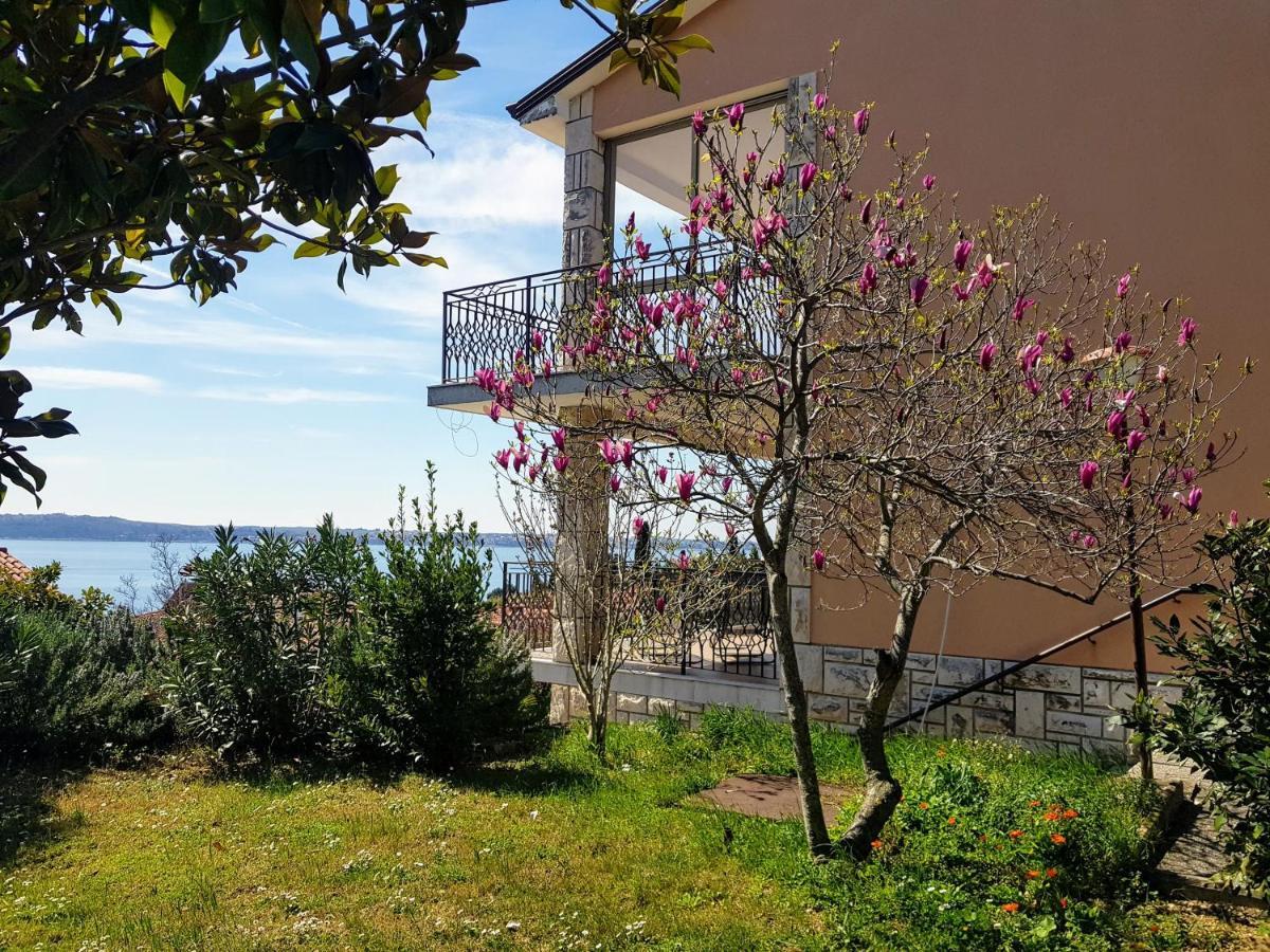 Apartment Apartma Kocevar *